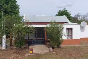 Jardin 905 Maria Teresa Atucha