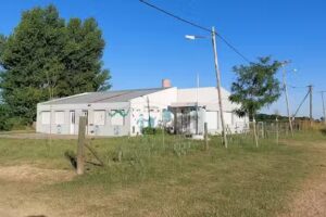 Jardin De Infantes 906