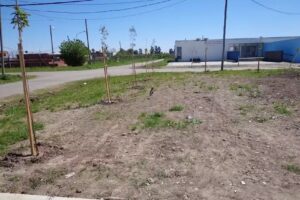 Jardín de Infantes 964