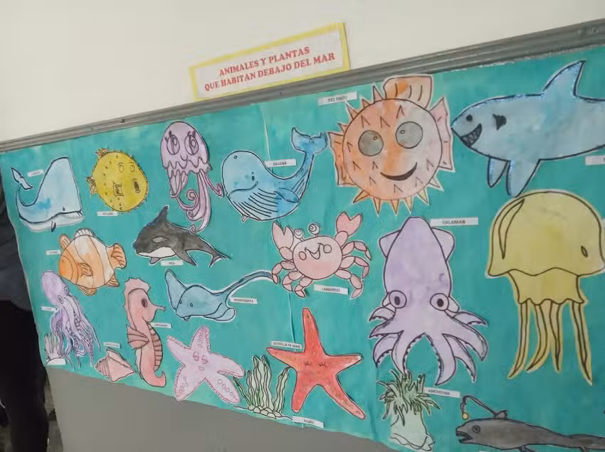 Jardin De Infantes N&deg; 912