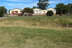Jard&iacute;n de Infantes N&deg;907 Paso de Las Toscas