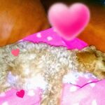 Jard&iacute;n De Infantes N&ordm;909