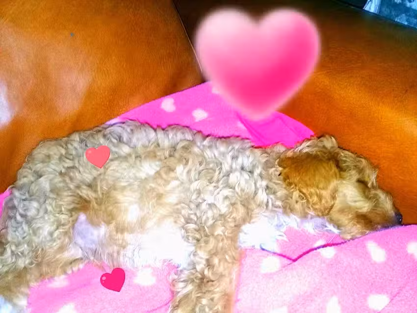 Jard&iacute;n De Infantes N&ordm;909