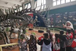 Jard&iacute;n De Infantes N&ordm;924