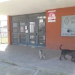 Jard&iacute;n de infantes N&ordm;928