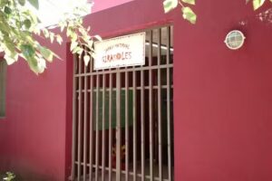 Jard&iacute;n Girasoles