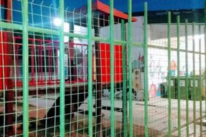 Jardin Independiente N° 121 “Rayün”