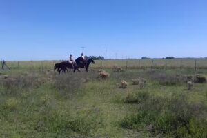 Jardín Municipal Jardilandia