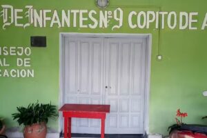 Jardin N9 Copito De Algodon