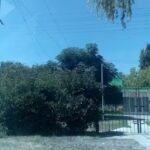 Jard&iacute;n N&deg; 904