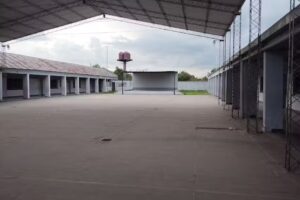 Juan Moro E.E. Primaria Com&uacute;n 785