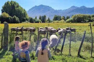 La Ronda &ndash; Educaci&oacute;n Viva en la Naturaleza