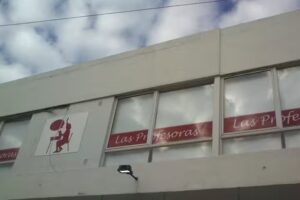 Las Profesoras- Apoyo Escolar