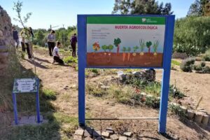 Liceo Agr&iacute;cola y Enol&oacute;gico Domingo Faustino Sarmiento