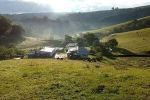 Mala Mala Tucum&aacute;n Caps Y Escuela