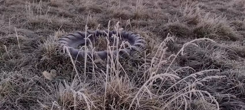 Media Estacion de Pourtale EP N&deg; 16