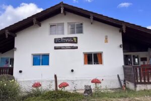 Mis Primeros Pasitos