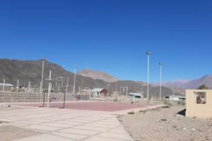 Nº 1-733 Mauelturata