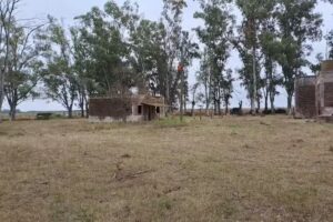 Predio NORTE Instituto Agrotecnico Manuel Belgrano
