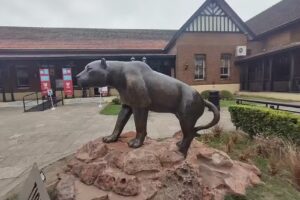 Prefectura Naval Tigre