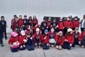 Primaria Instituto Norland