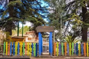 Risas de mi Tierra waldorf