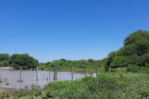 Santa cruz norte (alberdi)