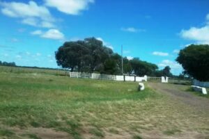 Santa Maria Club (Mdes Ctes.)