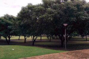 Secretaría de Innovación y Vinculación Tecnológica UNC | Incubadora de Empresas UNC