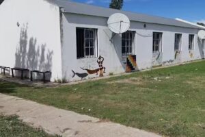 SECUNDARIA CRUCERO BELGRANO