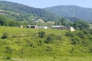 SECUNDARIA EL NOGALITO