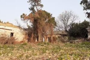 Segunda Escuela Barbato