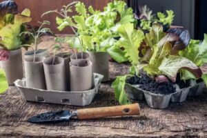 Taller de Huerta Campana