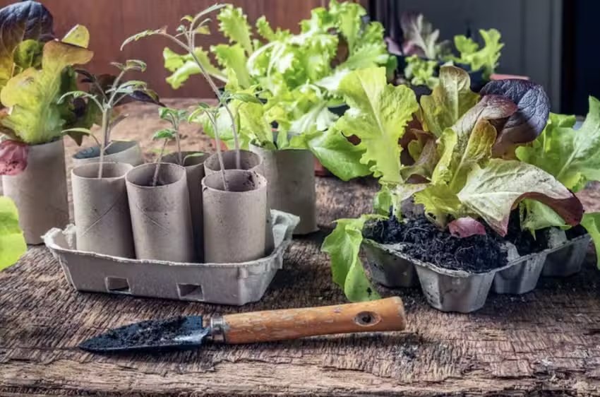 Taller de Huerta Campana