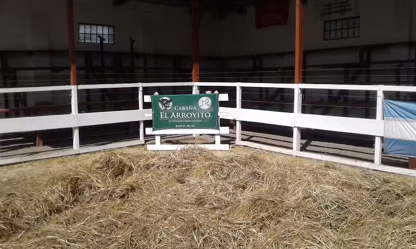 Taller Protegido Rauch