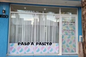 Taller recreativo Paso a pasito