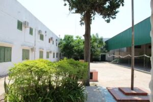 UEGP N&deg;36 PIO XII