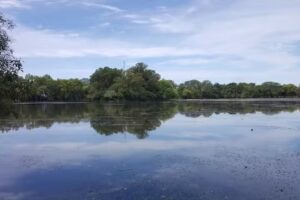 Un Jardín Encantado – Maternal